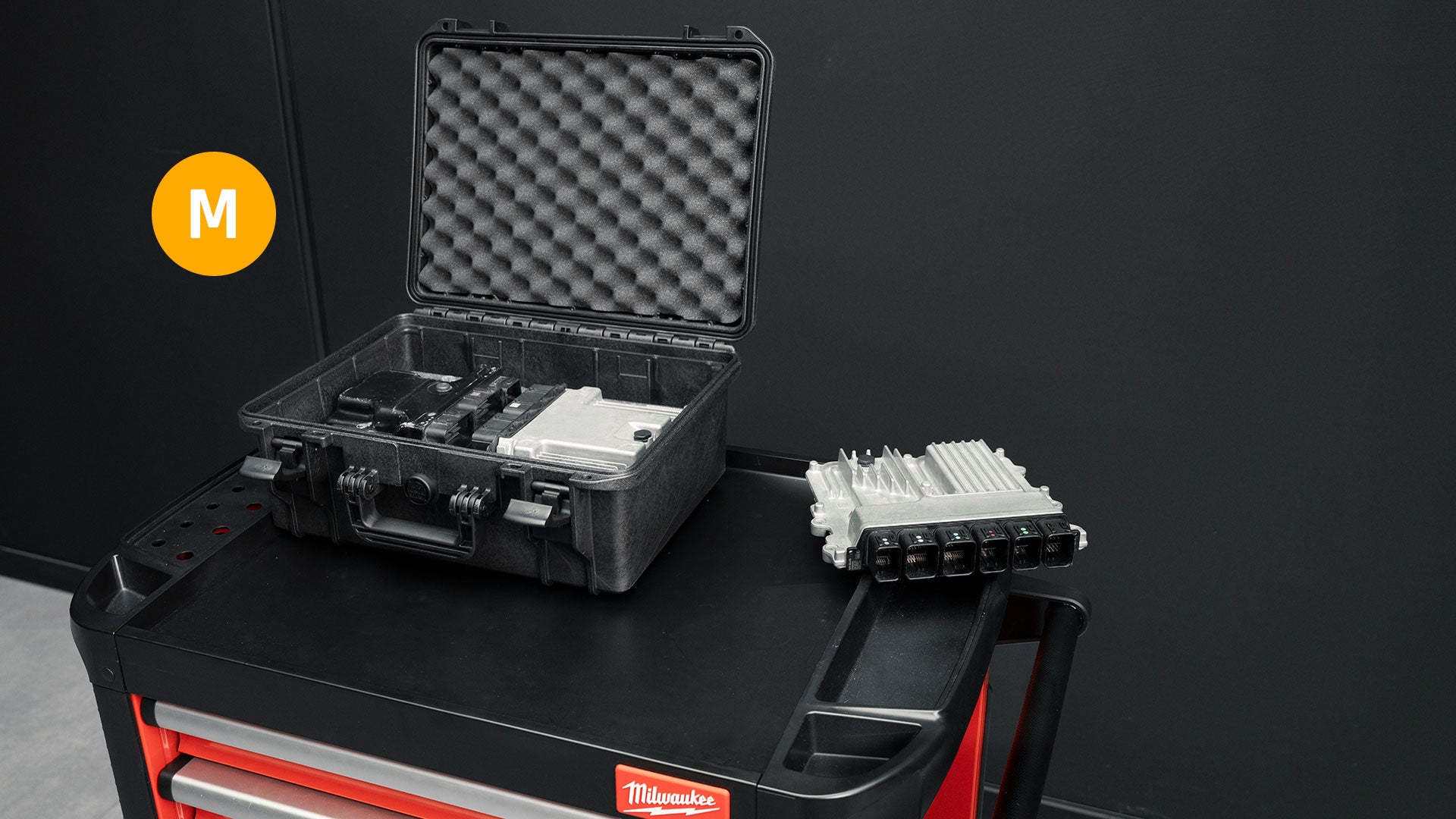 Reusable ECU shipping case