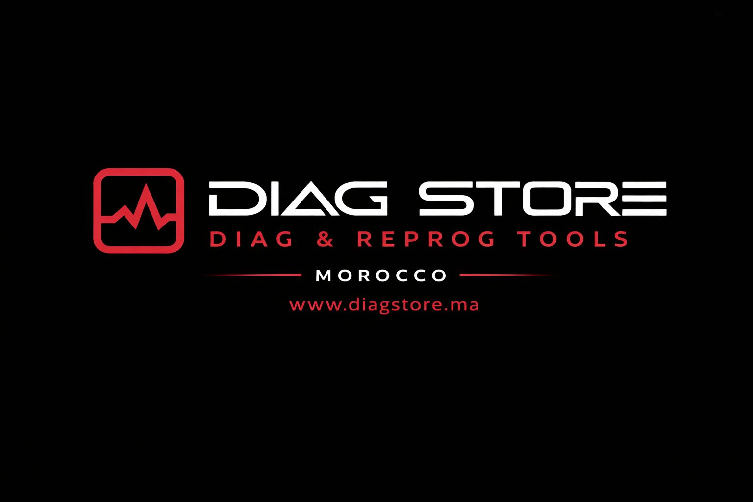 Logo Diag Store