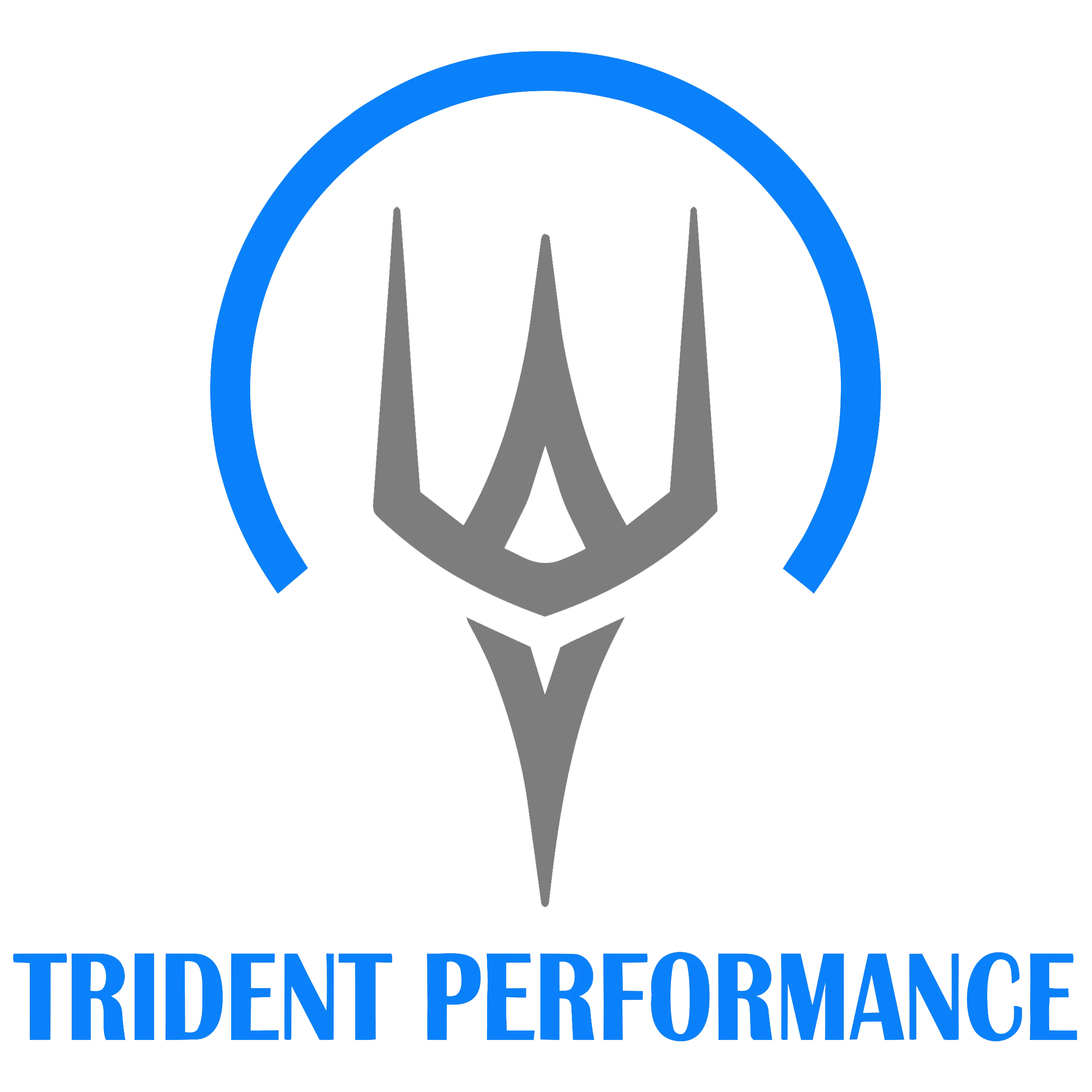 Logo Trident Performance
